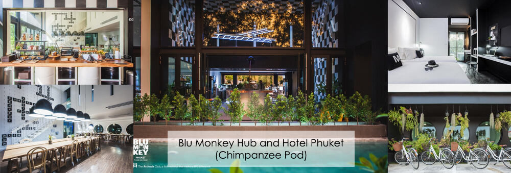 บลู มังกี้ ฮับ แอนด์ โฮเต็ล ภูเก็ต (Deluxe Room) Blu Monkey Hub and Hotel Phuket